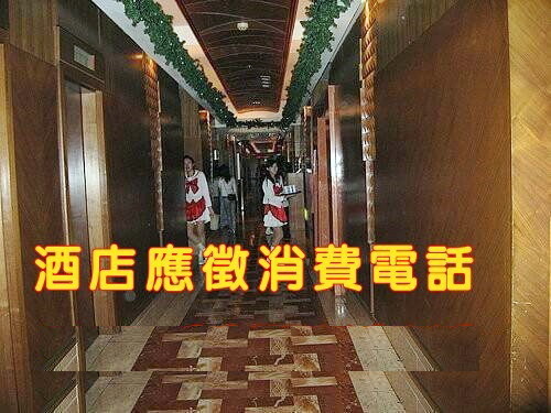 金錢豹