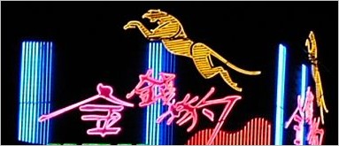 金錢豹經紀黃安 現場面試實拍